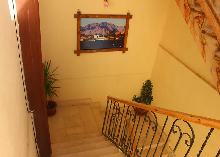 Delta Hostel